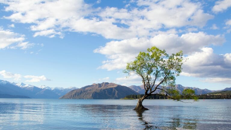 New Zealand changes visa rules in appeal to digital nomads